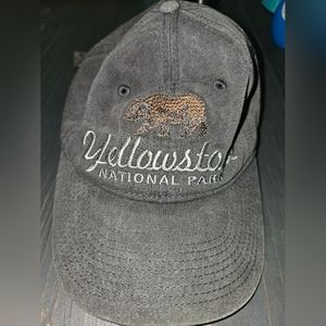 Yellowstone National Park gray adjustable hat